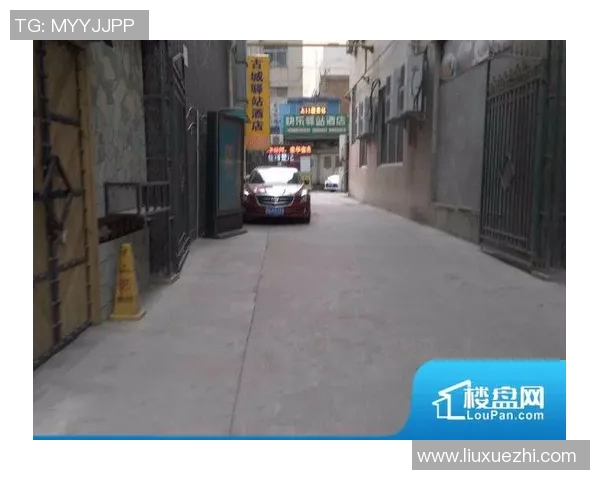 足球明星注册商标的影响力与市场价值分析及其发展趋势探讨