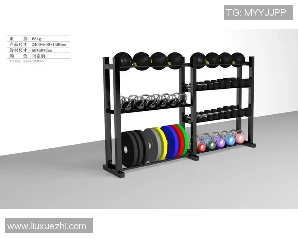 户外体育健身器材批发一站式采购解决方案助您轻松打造健身场所